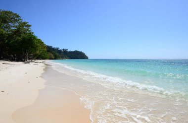 Koh Rok, Tayland 'ın güneyinde, Andaman Denizi' nde bulunan küçük bir takımada. Koh Lanta adasına yakın bir yerde yer almaktadır ve en iyi şnorkelle yüzme noktasıdır, Yengeç, Tayland