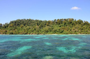Koh Rok, Tayland 'ın güneyinde, Andaman Denizi' nde bulunan küçük bir takımada. Koh Lanta adasına yakın bir yerde yer almaktadır ve en iyi şnorkelle yüzme noktasıdır, Yengeç, Tayland