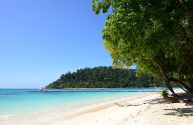 Koh Rok, Tayland 'ın güneyinde, Andaman Denizi' nde bulunan küçük bir takımada. Koh Lanta adasına yakın bir yerde yer almaktadır ve en iyi şnorkelle yüzme noktasıdır, Yengeç, Tayland