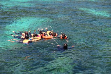 Koh Rok, Tayland 'ın güneyinde, Andaman Denizi' nde bulunan küçük bir takımada. Koh Lanta adasına yakın bir yerde yer almaktadır ve en iyi şnorkelle yüzme noktasıdır, Yengeç, Tayland