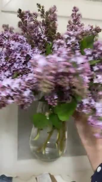 사막 의물 속에서 봄에 꽃을 피우는 암컷. — 비디오