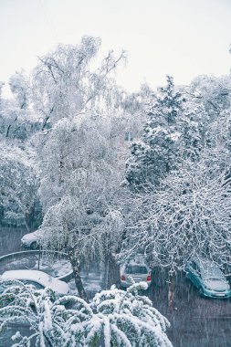 Pencereden karlı sokağa bak.