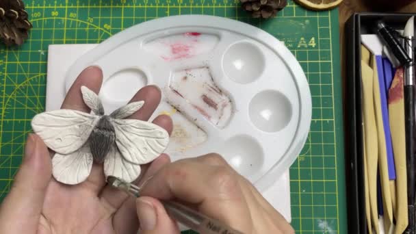 Persons hands paint brooch in form of butterfly. — Stok video
