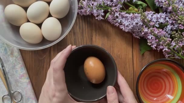 Womens hands take egg and break shell. — Stock Video