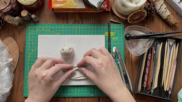 Girls hands make form clay ears for white rabbit on desktop. — Stock Video
