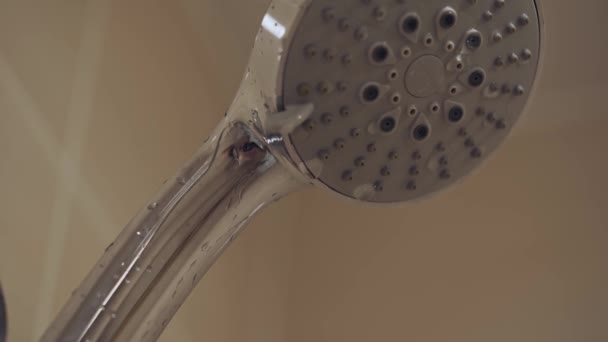 Pommeau de douche rond argenté à l'intérieur de la salle de bain, gros plan. — Video