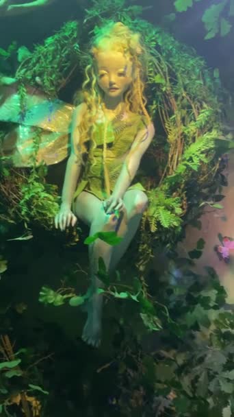 Muzeum Mytologických Bytostí Bestiary Mořskou Pannou Elfy Dalšími Postavami Víla — Stock video