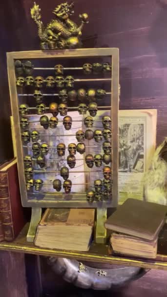 Muzeum Věnované Mytologii Mysticismu Police Vědeckými Papíry Starobylými Knihami Lebkami — Stock video