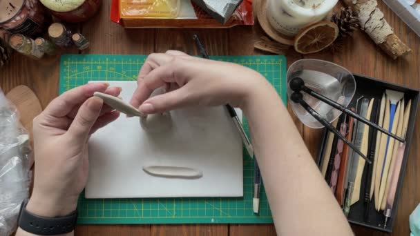 Persons Hands Sculpt Clay Ears White Rabbit Workshop Desktop Tools – Stock-video