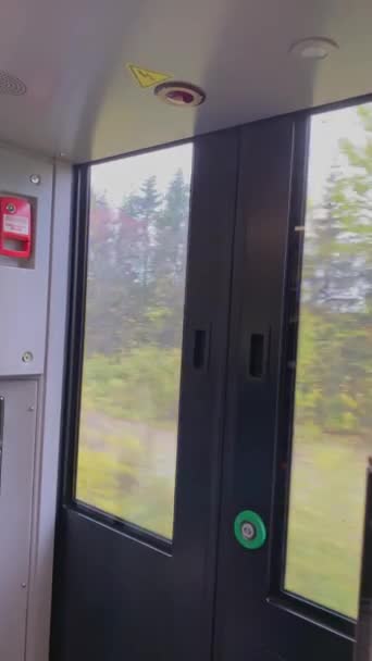 Widok Okna Lub Przedsionka Wagonu Kolejowego Lokomotywa Przejeżdża Obok Jesiennego — Wideo stockowe