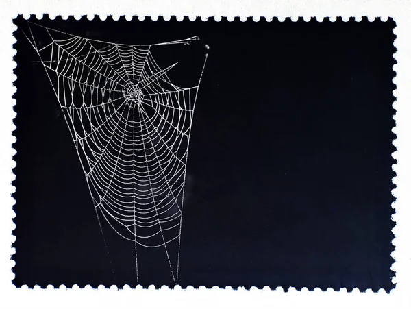 Паутина Изолированная Чёрной Почтовой Марке Cobweb Frame Хэллоуинский Дизайн Вечеринки — стоковый вектор
