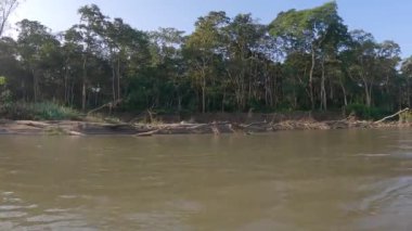 Chitwan Ulusal Parkı 'nda Rapti Nehri' nde bir kanoda yüzüyor..