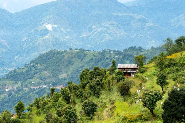 尼泊尔的一座小房子 座落在山坡上 背景是群山 — 图库照片