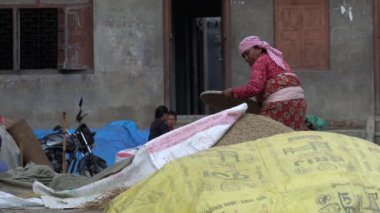 Bhaktapur, Nepal - 31 Ekim 2021: Nepal 'in eski kenti Bhaktapur' da bazı Newari kadınları pirinç samanlarını temizliyorlar.
