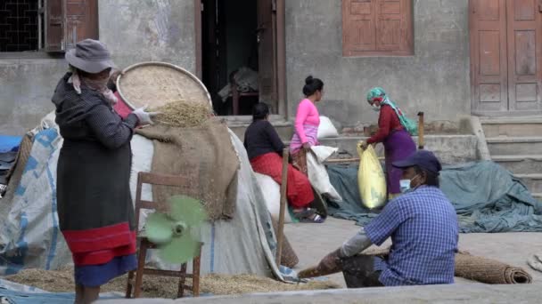 Bhaktapur Νεπάλ Οκτωβρίου 2021 Κάποιοι Newari Καθαρίζουν Άχυρο Από Ρύζι — Αρχείο Βίντεο