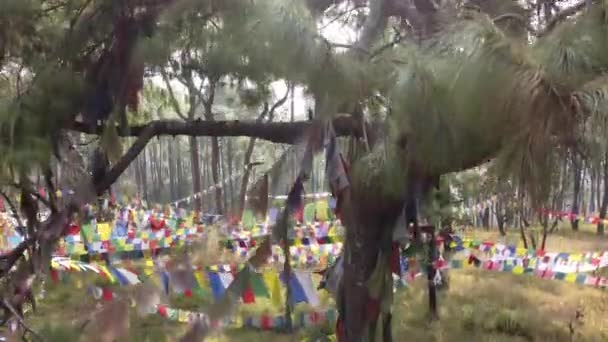 Пройшовши Повз Багато Буддійських Молитовних Прапорів Витягнутих Соснах Небо Над — стокове відео