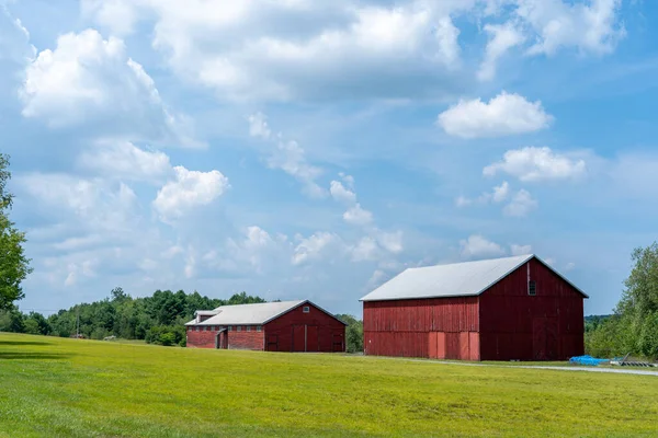 草の畑に囲まれたペンシルベニア州の丘陵にある2つの赤い納屋 — ストック写真