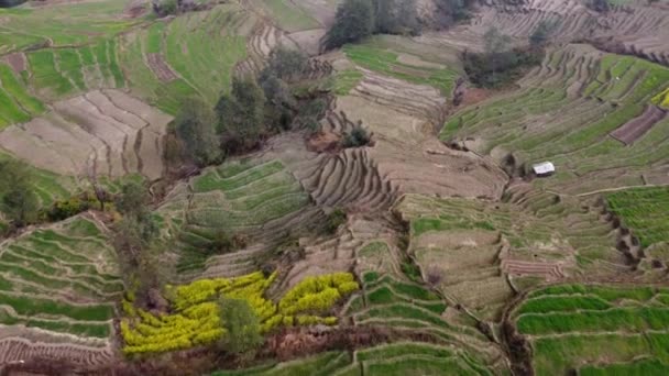 Letecký Pohled Terasovité Stráně Úpatí Nepálu — Stock video