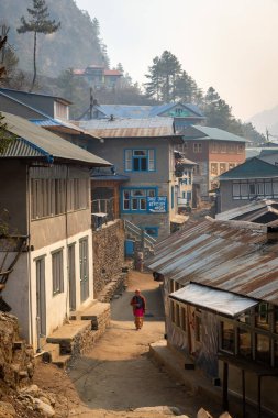 Phakding, Nepal - 10 Mart 2022: Himalaya Dağları 'ndaki küçük bir köy olan Phakding' deki Everest Ana Kampı 'na giden yolda bir hamal.