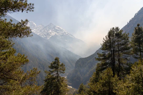 背景に雪の峰がある森林火災の煙で満たされた谷 — ストック写真