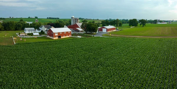 Aerial View Rural Farmland Southern Lancaster County Pennsylvania — Foto de Stock
