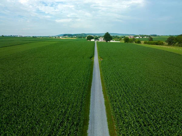Aerial View Rural Farmland Southern Lancaster County Pennsylvania — Stock Fotó