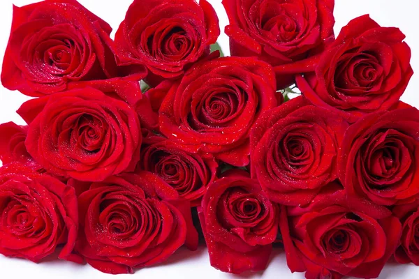 Bukiet Czerwonych Burgundowych Róż Białym Tle Krople Wody Zbliżenie — Zdjęcie stockowe