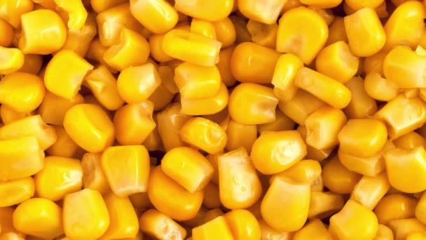 黄色のトウモロコシのカットビデオ 上からの眺め — ストック動画