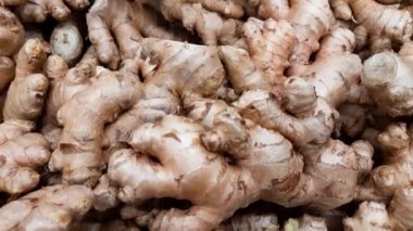 Zencefil kökü yığını. Yan görünüm.