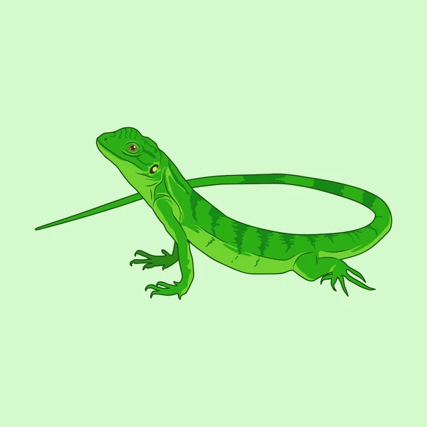 Зеленая Ящерица Векторная Иллюстрация Зеленая Ящерица Тропическом Лесу Зеленая Ящерица — стоковый вектор