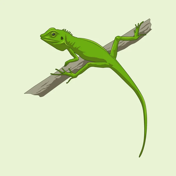 Зеленая Ящерица Векторная Иллюстрация Зеленая Ящерица Тропическом Лесу Зеленая Ящерица — стоковый вектор
