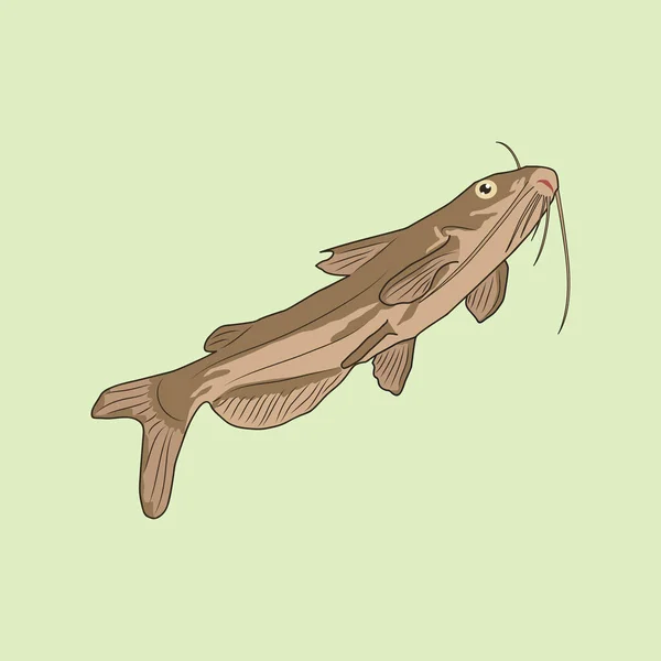 Catfish Illustration Pastel Background Colors — Image vectorielle