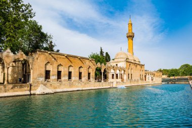 Balikligol (The Fish Lake in English) in Sanliurfa, Turkey. The historic Pool of Abraham, or Pool of Sacred Fishin the city of Urfa, Turkey
