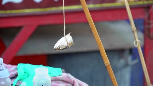 魚の餌となる釣竿の魚頭 — ストック動画