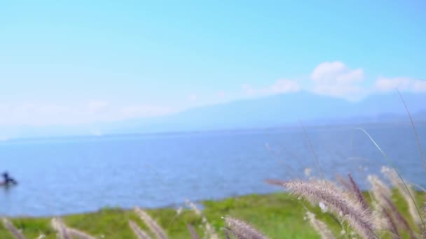 Utsikt Över Phayao Lake Med Gräs Blomma Berg Och Silhuett — Stockvideo