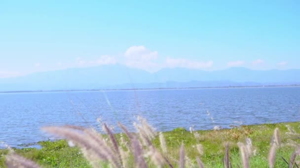 Widok Błękitne Jezioro Zieloną Trawą Kwiatem Trawy Pierwszym Planie Góry — Wideo stockowe
