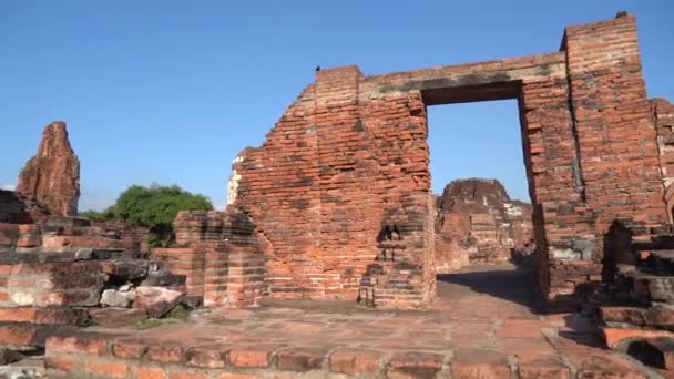 Стародавня Руїна Аюттхая Таїланд Розбита Цегла Структура — стокове відео