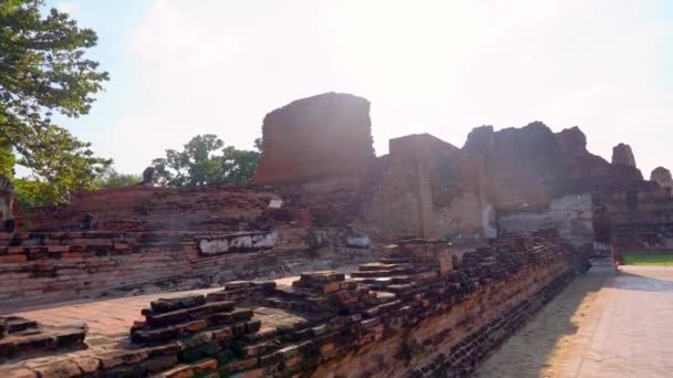 Cestovatel Prochází Ruině Ayutthaya Thajsko — Stock video