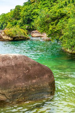 Rio de Janeiro 'daki Trindade, Paraty kayaları arasında denizi sakin sularla ve canlı renklerle kaplayan yağmur ormanı.