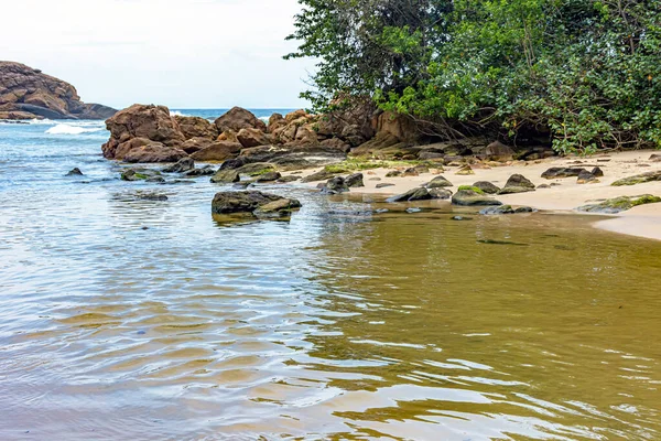 Waters Small River Heading Sea Sand Rainforest Trindade South Coast — Stock Fotó