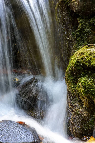 Kleine Beek Waterval Tussen Mos Vegetatie Rotsen Van Het Regenwoud — Stockfoto