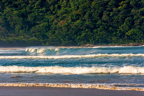 Brezilya 'nın Bertioga kıyı eyaleti Sao Paulo' daki Praia Branca (White Beach) çölünde el değmemiş yağmur ormanları ve tepeler