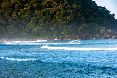 Brezilya 'nın Sao Paulo eyaletinde Bertioga' da dağların ve yağmur ormanlarının buluştuğu panoramik plaj görüntüsü.