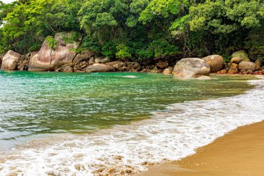 Paraty, Rio de Janeiro belediyesi Trindade 'de kayalar, yağmur ormanları ve sakin, canlı ve renkli sularla çevrili el değmemiş ve ıssız bir sahil.