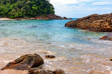 Paraty, Rio de Janeiro belediyesi Trindade 'de sakin ve canlı renkli sularla çevrili el değmemiş ve ıssız bir sahil.