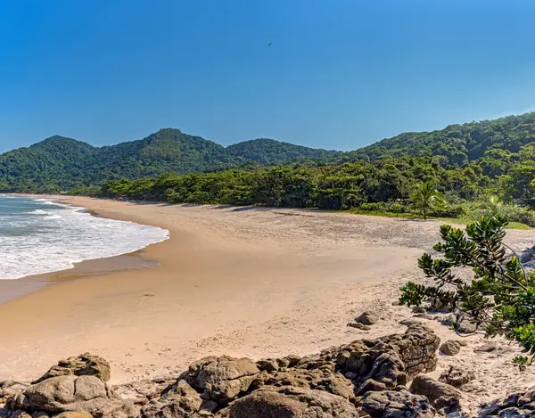 Spiaggia Circondata Foreste Montagne Incontaminate Bertioga Sulla Costa Meridionale Dello — Foto Stock