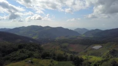 Mavi gökyüzünün altındaki ağaçta pembe kiraz çiçeklerinin güzel dallarının seçici odak noktası, bahar mevsiminde güzel Sakura çiçekleri, çiçek desenleri, doğa çiçekli arka plan..