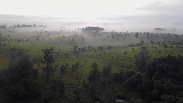 Thung Salaeng Luang National Park Belas Colinas Verdes Que Brilham — Vídeo de Stock