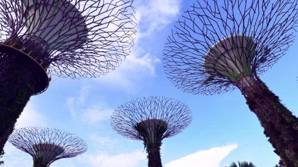 싱가포르 만에서 하늘을 채원의 — 비디오