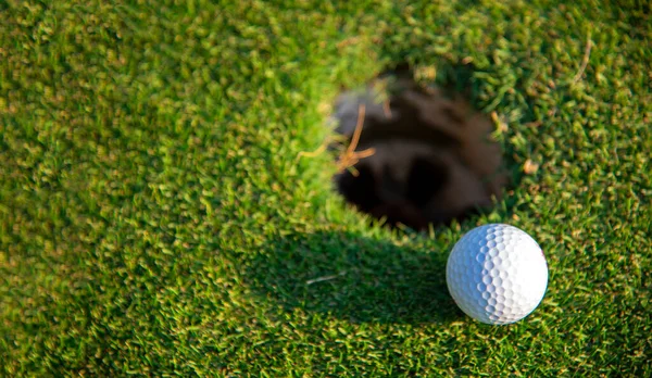 Golfista Mujer Jugando Golf Gente Swing Golpear Campo Golf Está — Foto de Stock